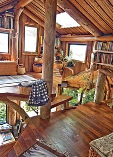
What inspired these unique buildings? One common theme is that they use wood, and lots of it. In their coastal marine environment, trees are abundant, and so is driftwood.
